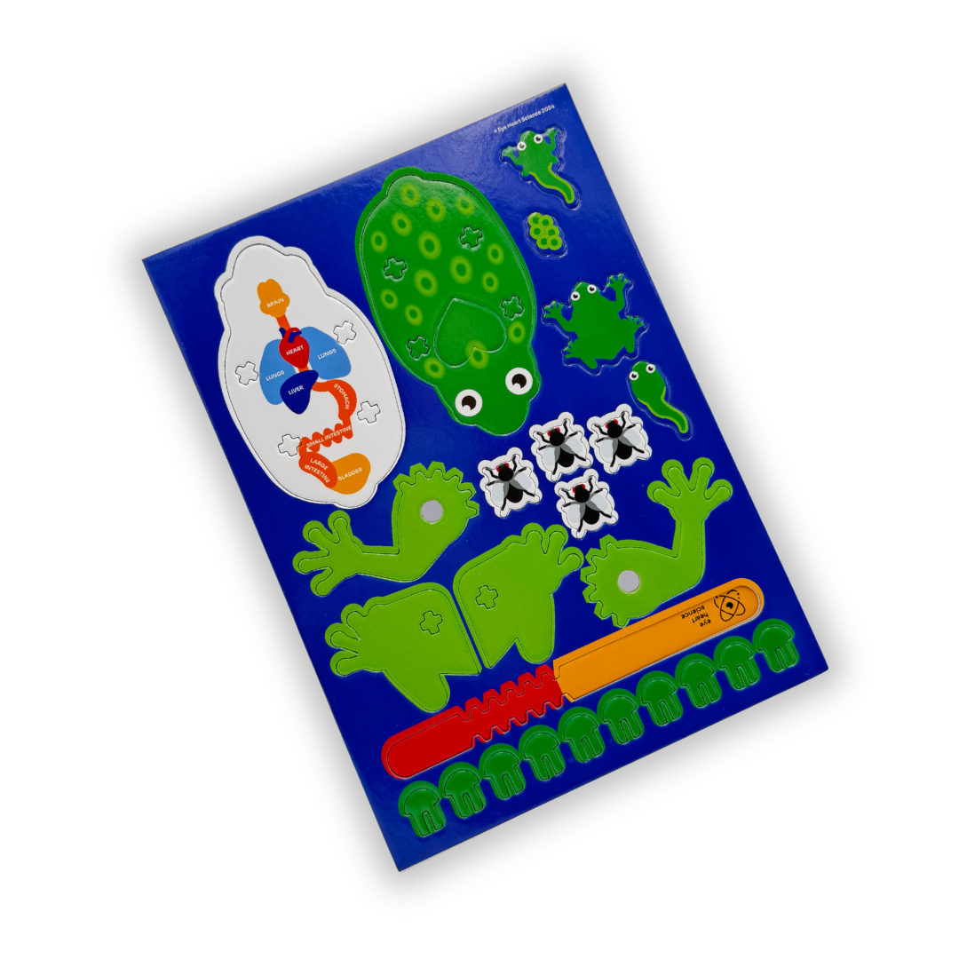 Freaky Frogs (10pk)
