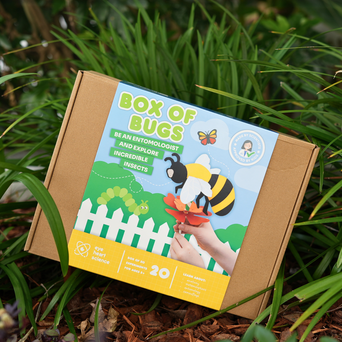 BOX OF BUGS